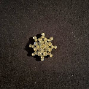Frstive Rhinestone Brooch